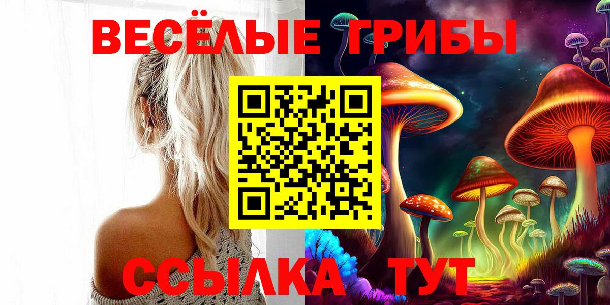 Псилоцибиновые грибы мухоморы Солнечногорск