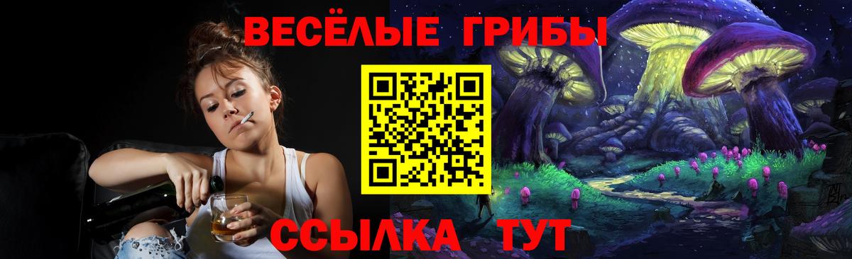 Псилоцибиновые грибы GOLDEN TEACHER  Вход с VPN  купить закладку  Солнечногорск  Псилоцибиновые грибы Magic Shrooms 